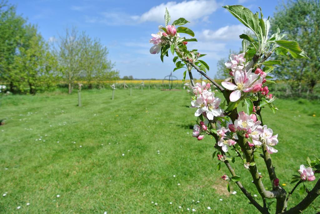 Frith Farm House Cottages Newnham  Zimmer foto